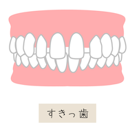特徴