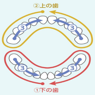 磨く順番
